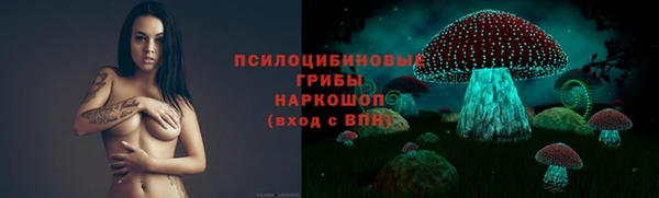 ешки Беломорск