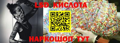 стаф Кунгур
