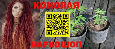 стаф Кунгур