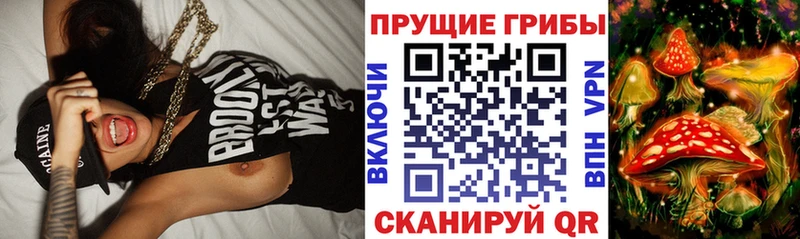 где можно купить наркотик  Горно-Алтайск  Галлюциногенные грибы ЛСД 