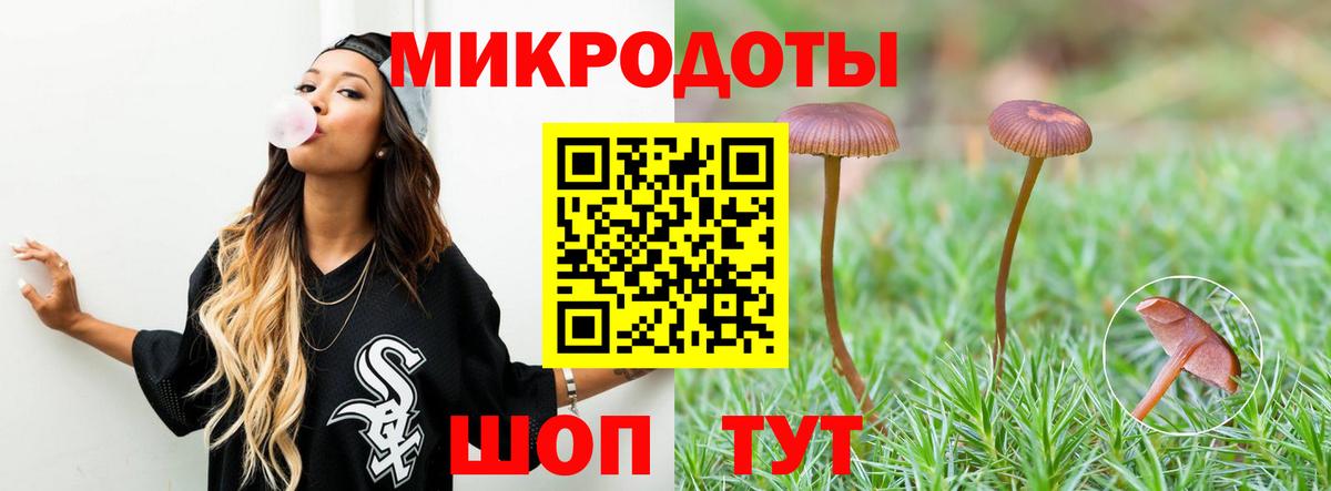 Псилоцибиновые грибы мухоморы  купить наркотики цена  Горно-Алтайск  Вход с VPN  Псилоцибиновые грибы Psilocybine cubensis 