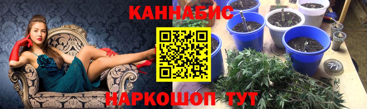 Марихуана White Widow  Марихуана VHQ  Вход с VPN  Бошки марихуана планчик  Горно-Алтайск 
